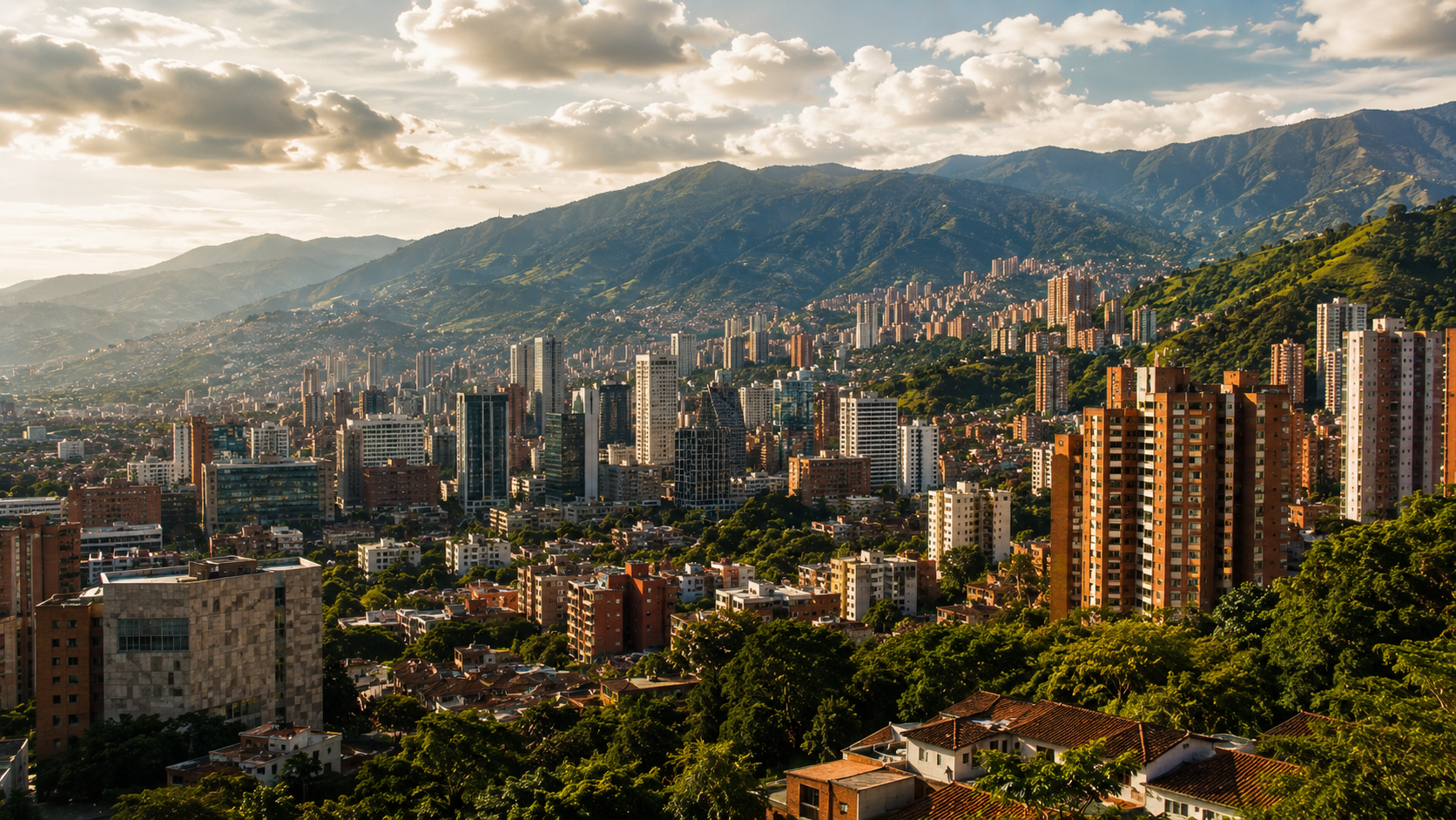 Image link